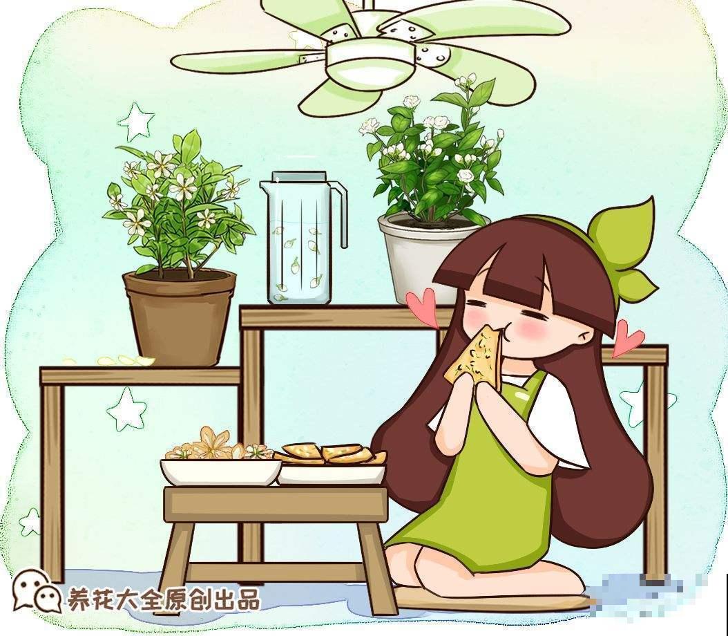 手把手教你在家种花生，学会再也不用买了，好吃又好看！