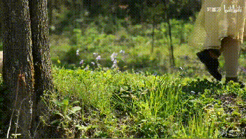 3年的时间，老院子变成大花园，过上塔莎奶奶一样的日子！