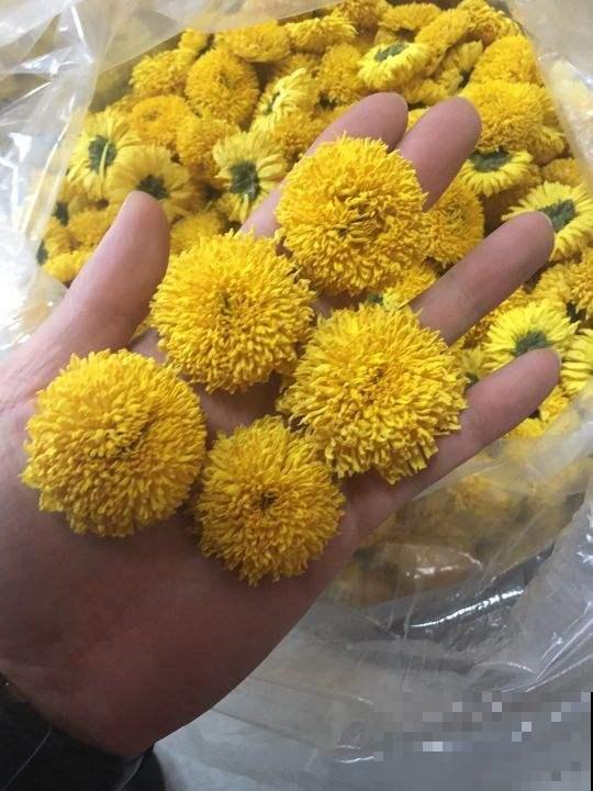 市场卖的菊花茶，发现有这3个特点，千万别买！