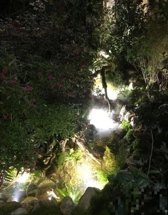 院子里挖了条小溪，做成水景美如画，看一整天也不烦