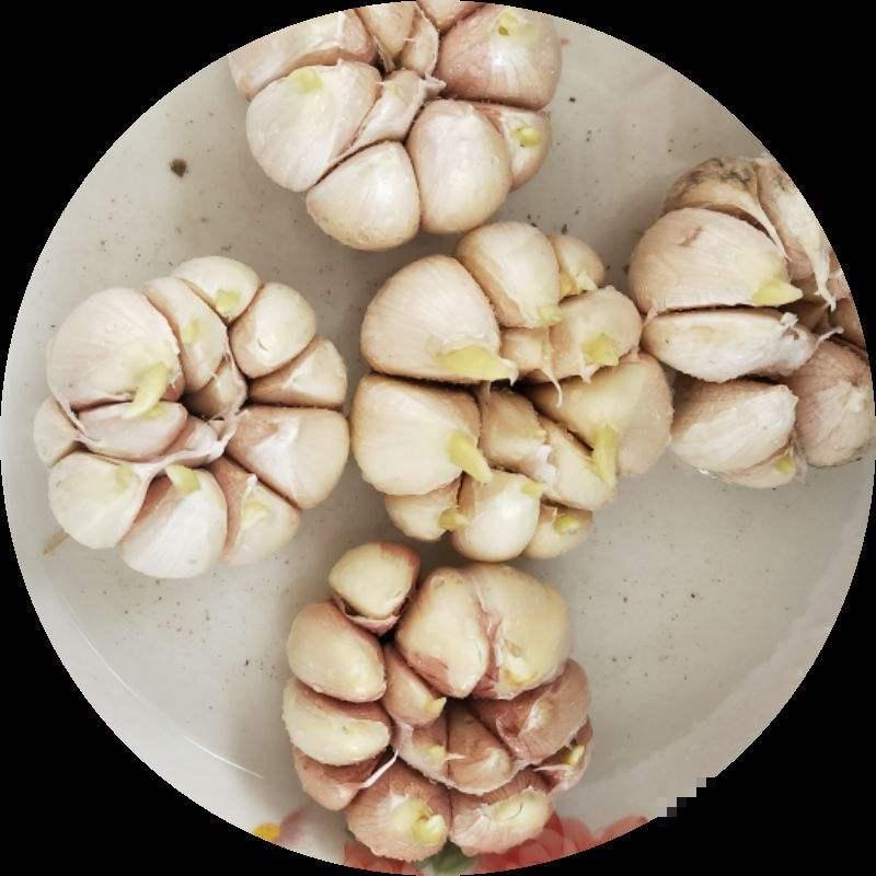 好用的剥蒜小妙招，轻松剥皮，省时省力