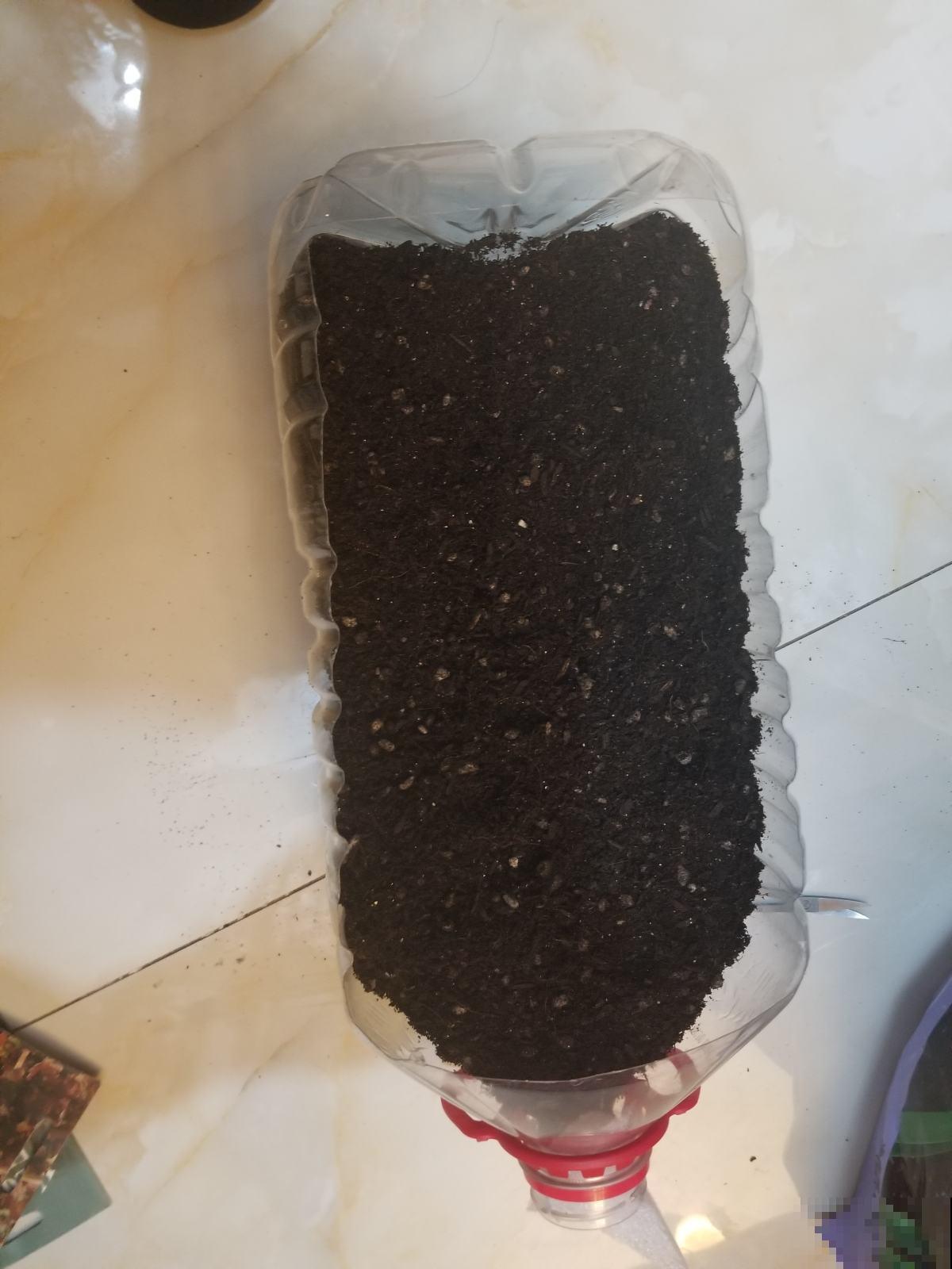 阳台种菜有讲究，记好这几点，随时都有新鲜蔬菜吃！