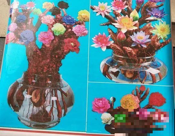 花骗子跑家里来,被戳穿后,没想到赖着不走了! 花骗子跑家里来,被戳穿后,没想到赖着不走了!