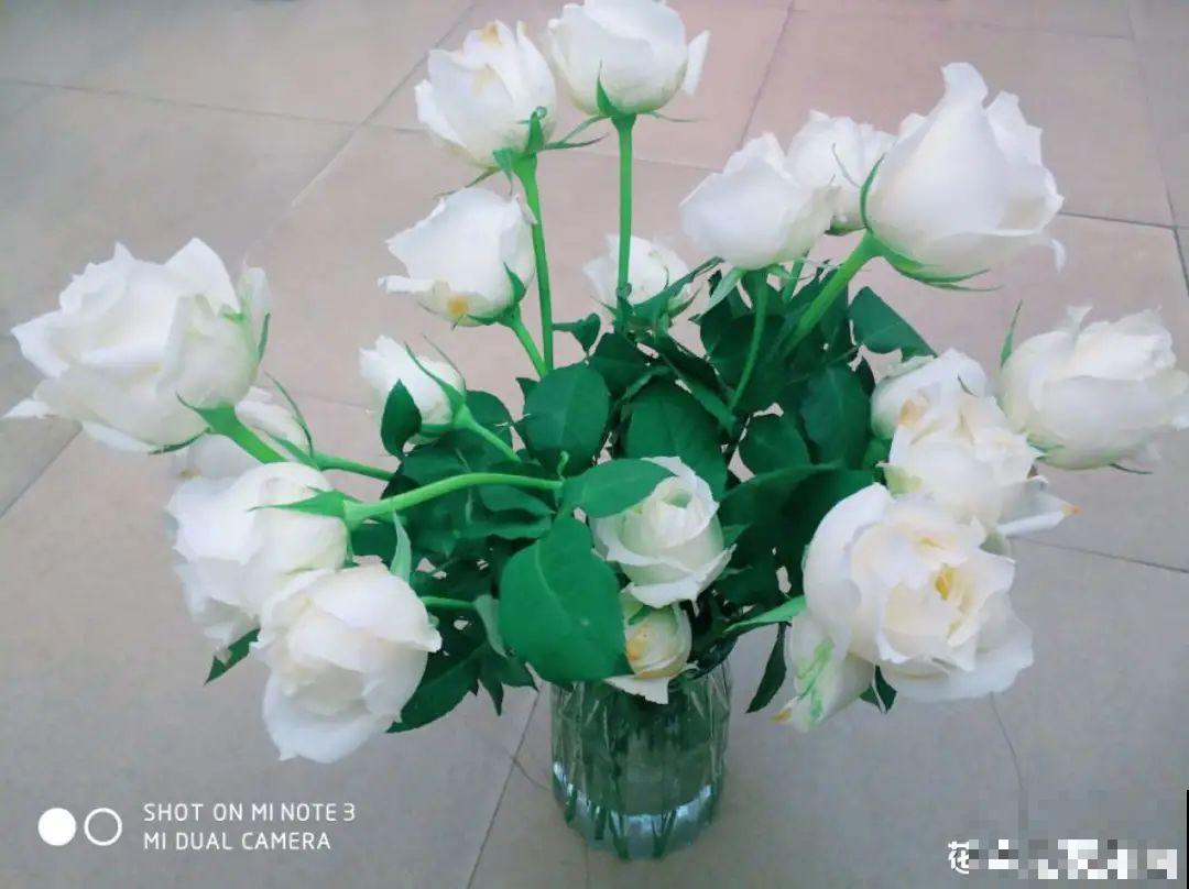 染色大葱？卫生纸一擦就掉色，真细思极恐