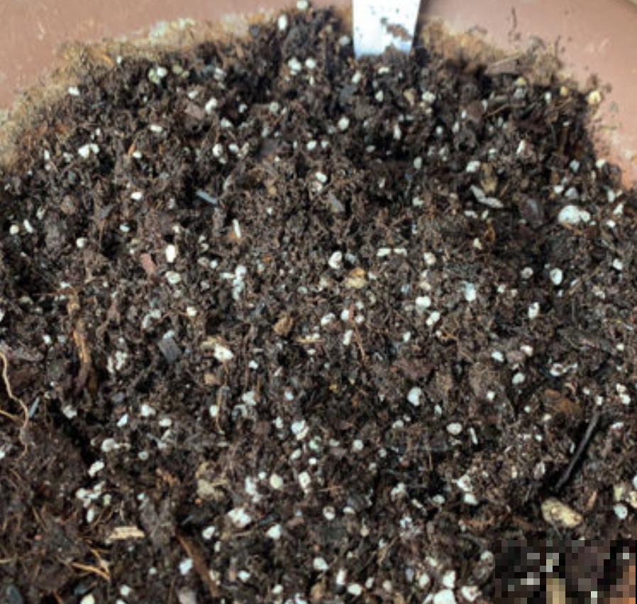 淘汰下的旧土先别扔，放锅里炒一炒，效果还很好！