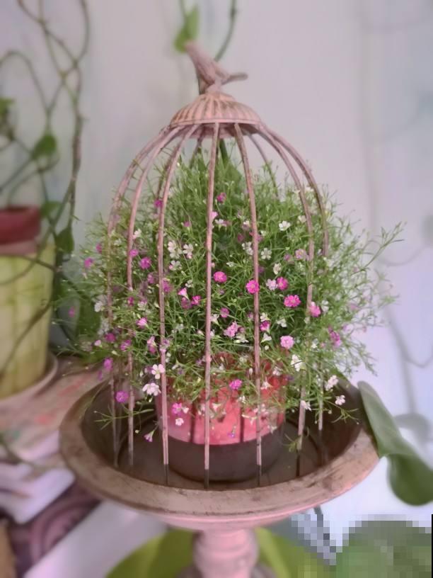 春天养花，最重要的是“准备”，要提前规划好