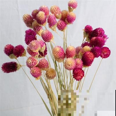 鲜花保鲜的秘密，学会这4个小方法，让你的花多开半个月！