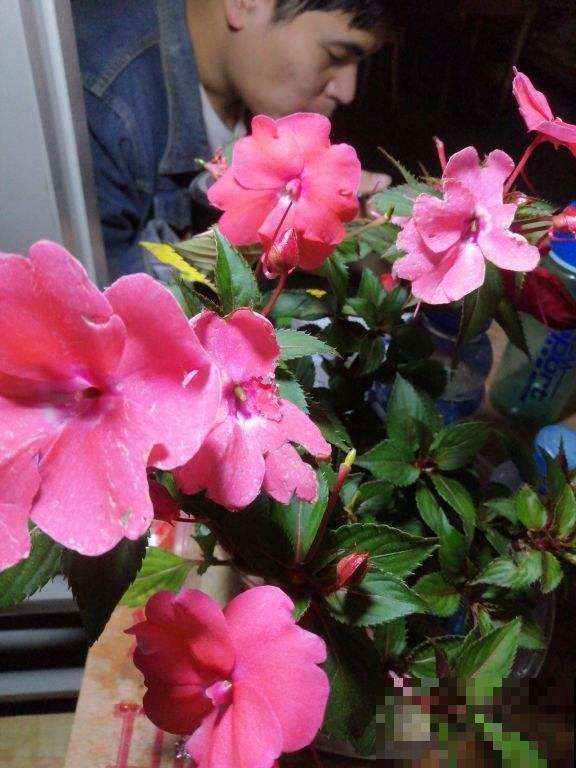 30个有趣的花谜,大多数人猜不对,你猜对了吗? 30个有趣的花谜,大多数人猜不对,你猜对了吗?