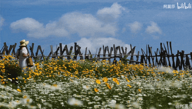 3年的时间，老院子变成大花园，过上塔莎奶奶一样的日子！