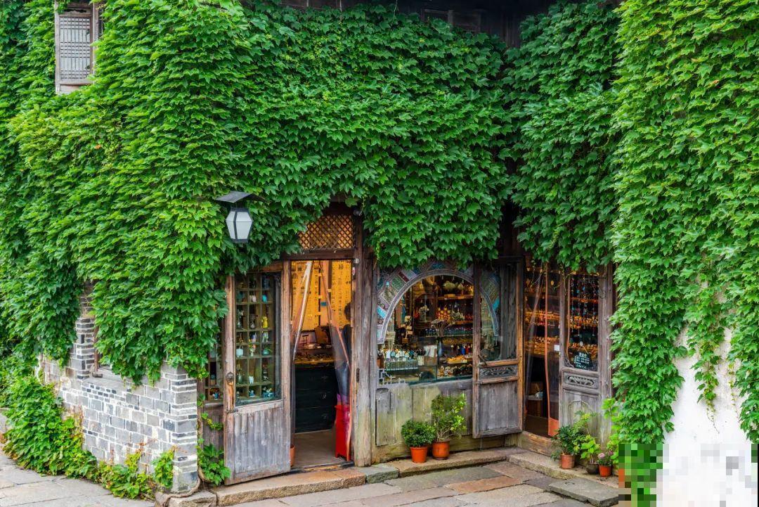 我想有一个,开满花的窗台,每天赏花! 我想有一个,开满花的窗台,每天赏花!