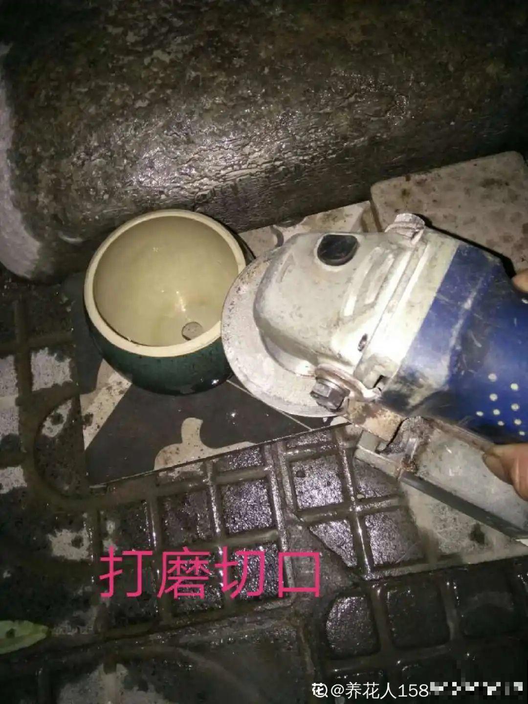 过年的酒瓶子，千万别人，切2刀做花盆，好看又省钱