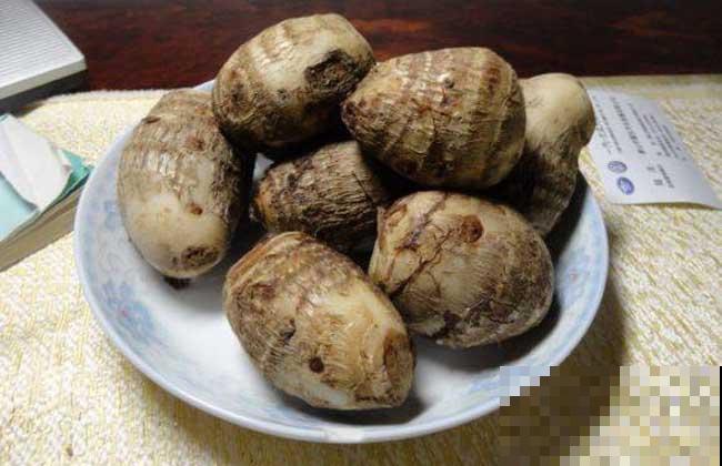 买芋头记住4要点，个个都好吃，又甜又糯特好吃