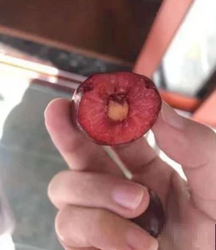 车厘子有什么好,价格贵得要命,吃多还便血,贫穷“救”了我! 车厘子有什么好,价格贵得要命,吃多还便血,贫穷“救”了我!