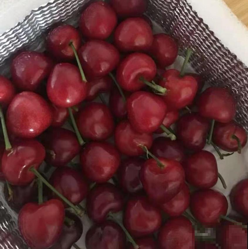 车厘子有什么好，价格贵得要命，吃多还便血，贫穷“救”了我！
