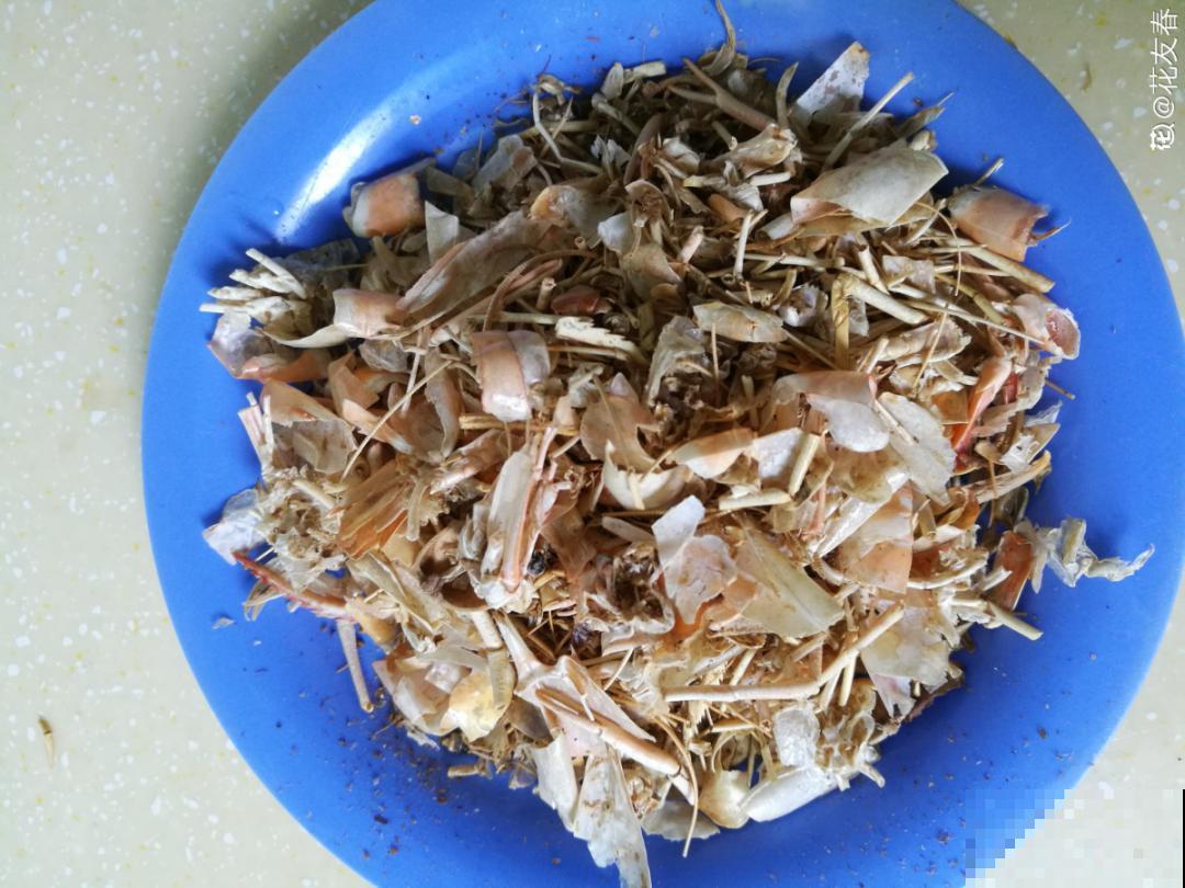 鱼肠肥、大骨粉，现在埋几勺，春天开花上百朵