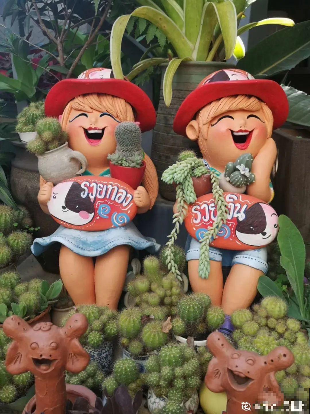 多肉老桩有多美，看着像是艺术品，造型超美