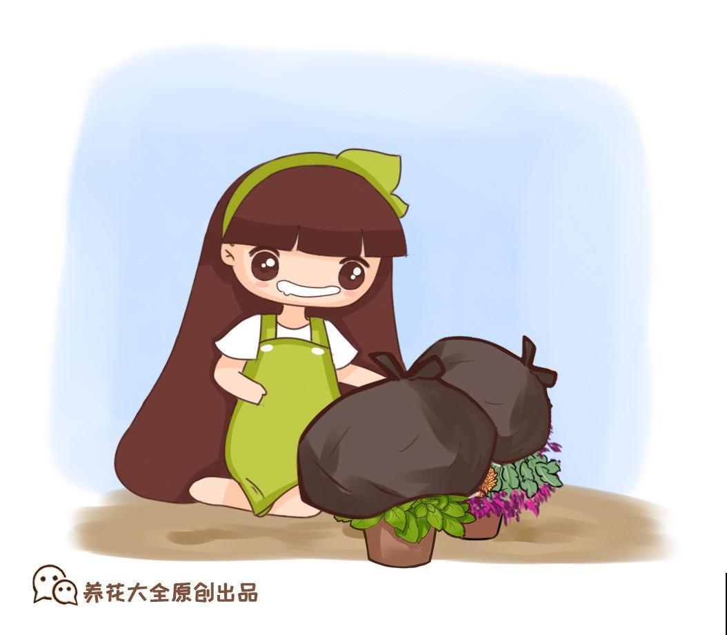 五颜六色的唐菖蒲,四季养护各不同,看完这篇你就明白了! 五颜六色的唐菖蒲,四季养护各不同,看完这篇你就明白了!