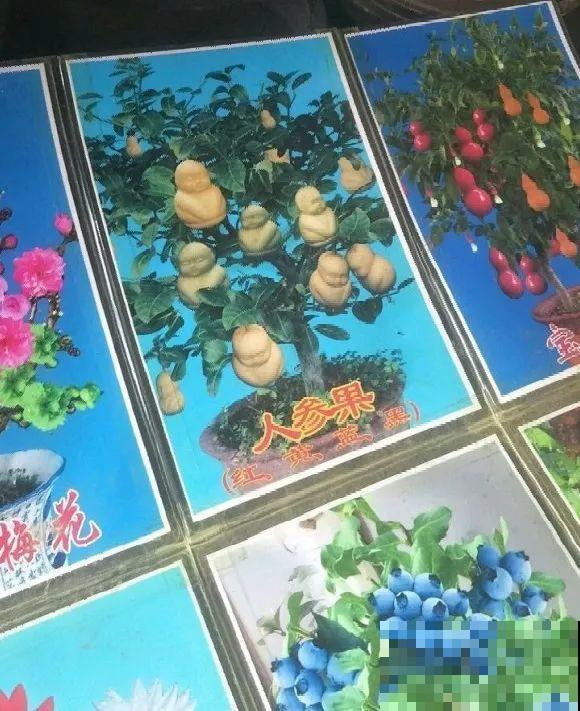 花骗子跑家里来,被戳穿后,没想到赖着不走了! 花骗子跑家里来,被戳穿后,没想到赖着不走了!