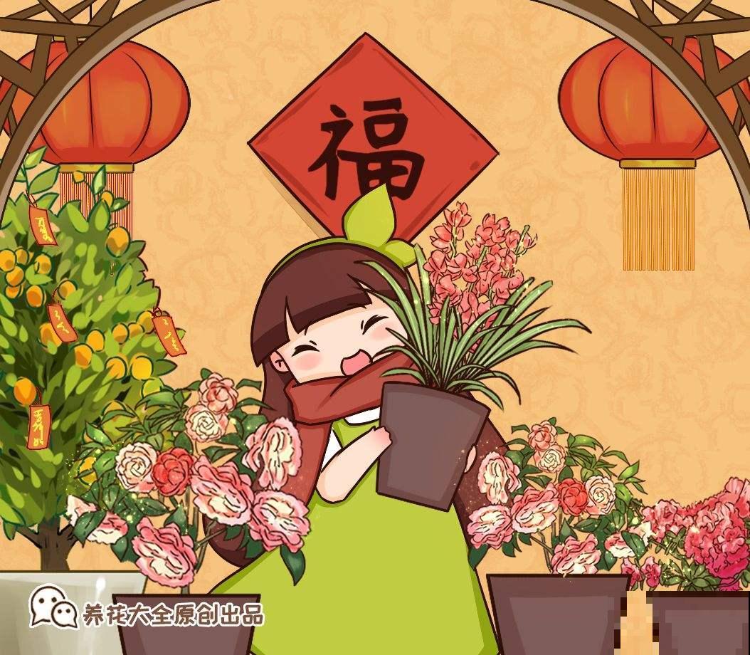 超耐寒的6种花，冬越冷开花越多，就适合冬天养