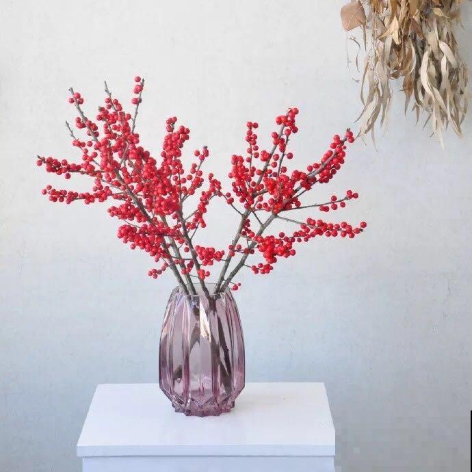 年宵花就选北美冬青，春节在家里放一盆，红红火火日子旺！