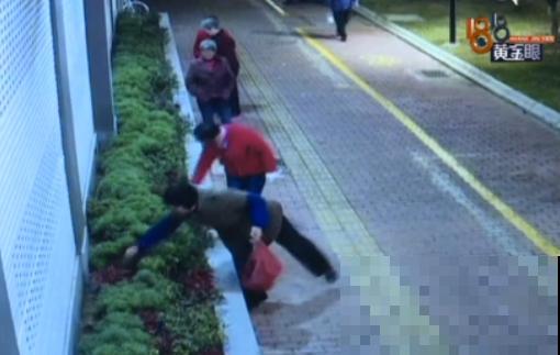 法院门口的花，全都被偷光，小偷的回答令人哭笑不得