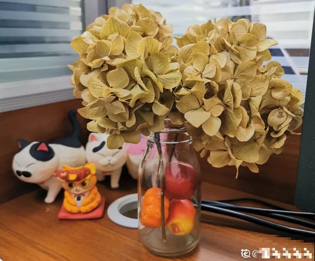 干花制作方法，学会了超实用，留住花儿美好