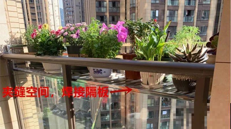 阳台党的烦恼，没有院子，只能挖空心思养花