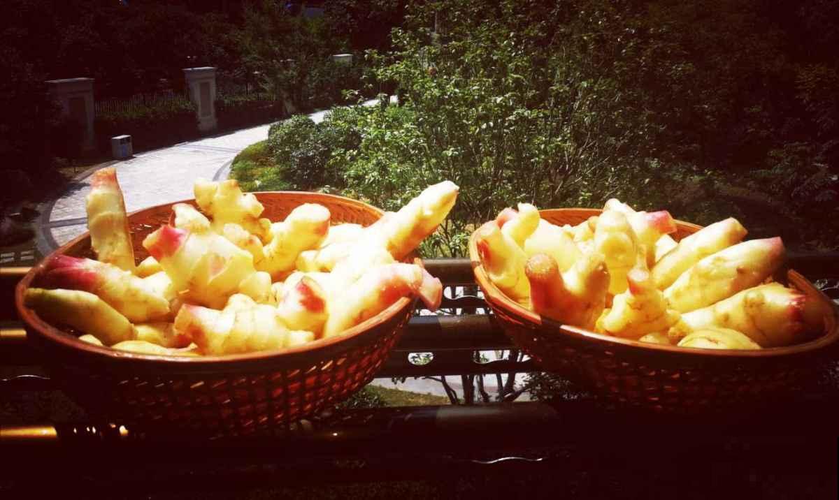 4种汤适合冬天喝，补充能量味道还好，一碗下去浑身热乎乎