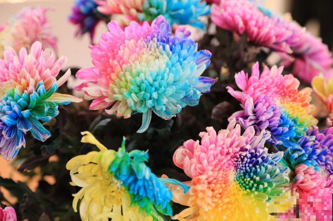 染色大葱？卫生纸一擦就掉色，真细思极恐