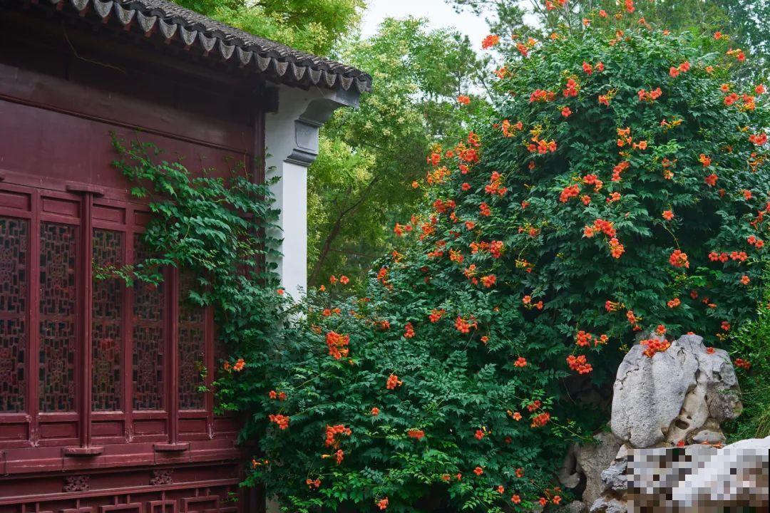 我想有一个,开满花的窗台,每天赏花! 我想有一个,开满花的窗台,每天赏花!