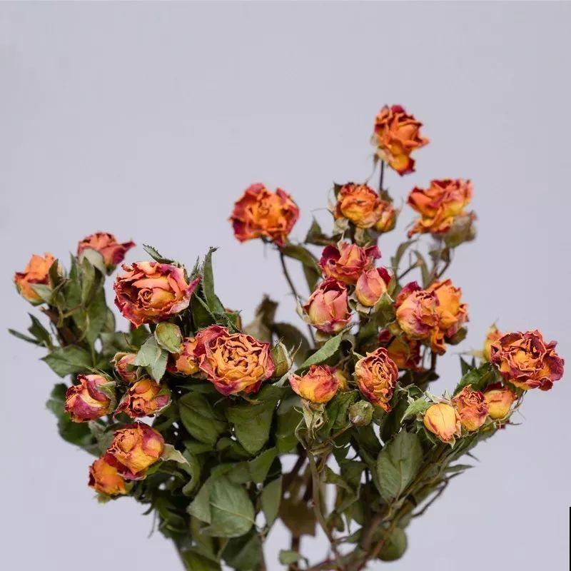 鲜花保鲜的秘密，学会这4个小方法，让你的花多开半个月！