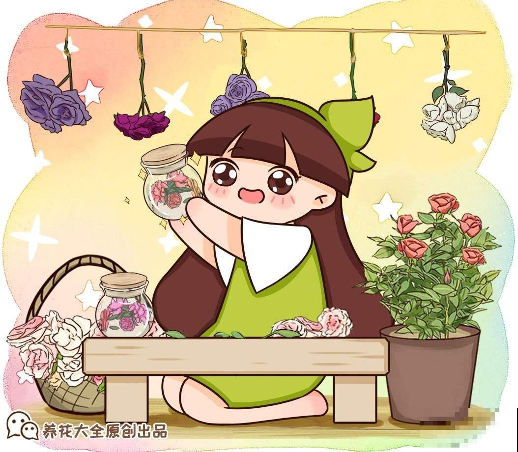 把鲜花制成干花，简单又漂亮，还能永久保存！