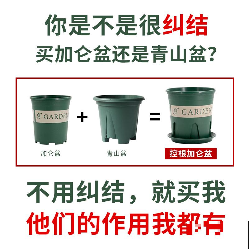 养花最不爱做的3件事,有没有一样的花友? 养花最不爱做的3件事,有没有一样的花友?