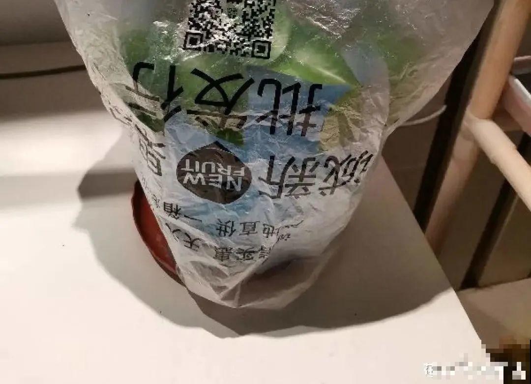 现在扦插超好活，剪根枝，捂3天，冒出狗牙根！