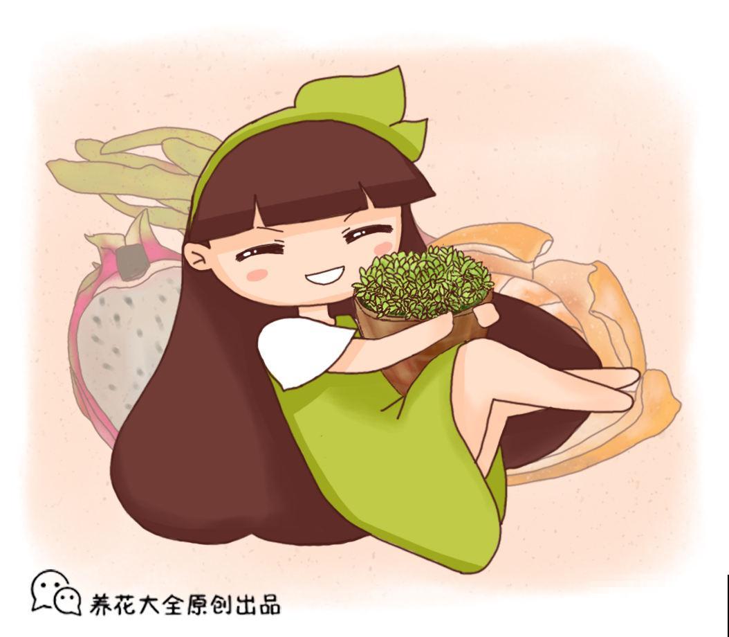 百香果不用花钱买，直接埋土里，好吃又好看！
