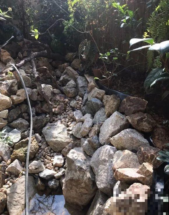 院子里挖了条小溪，做成水景美如画，看一整天也不烦