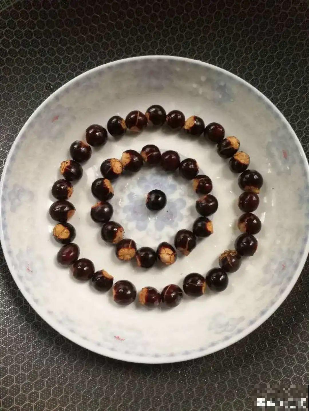 吃完的水果核别丢，扔土里长出小嫩芽，俩月长成新盆栽