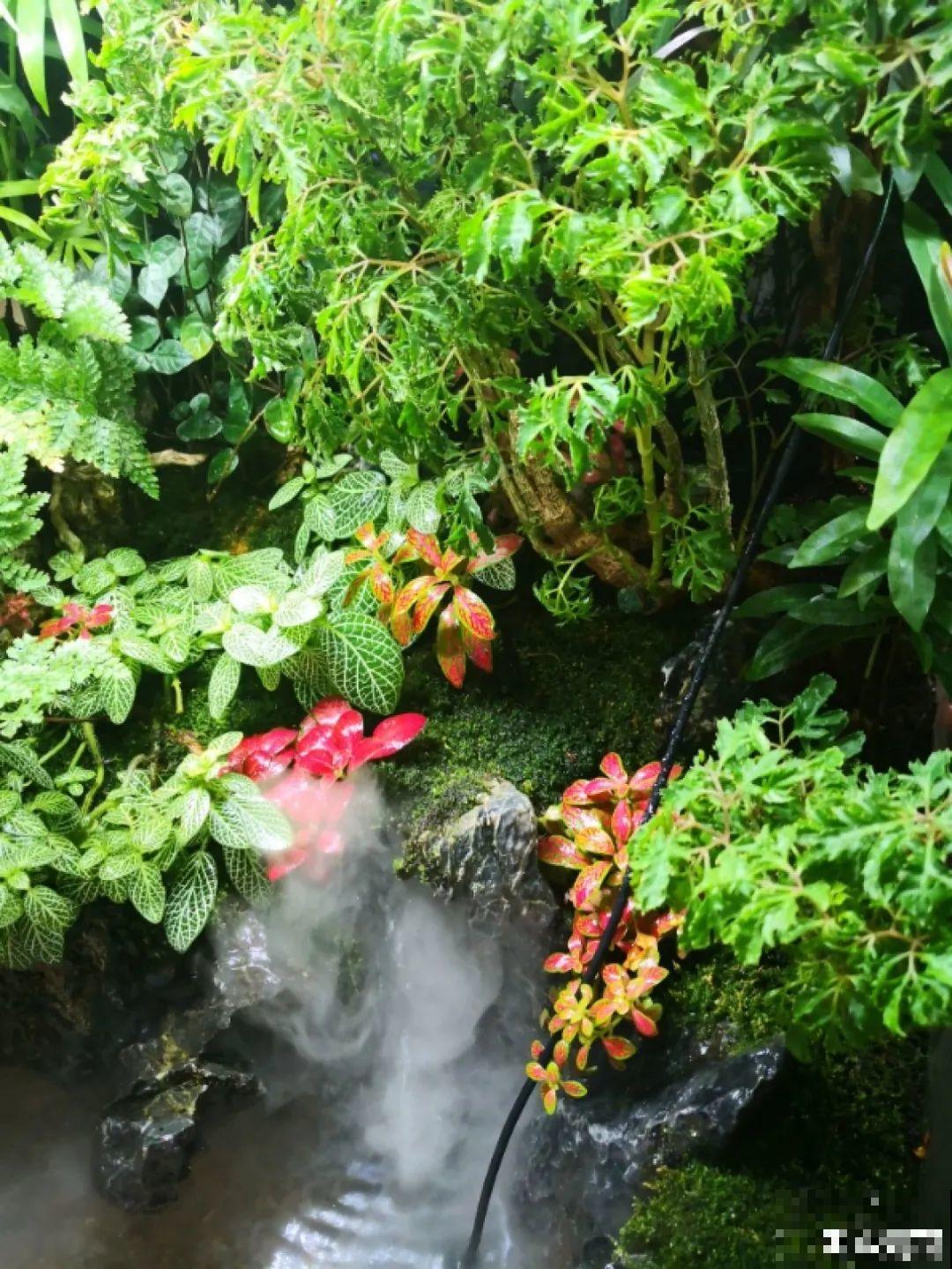 年纪轻轻，养点花种点草，提前过过养老生活