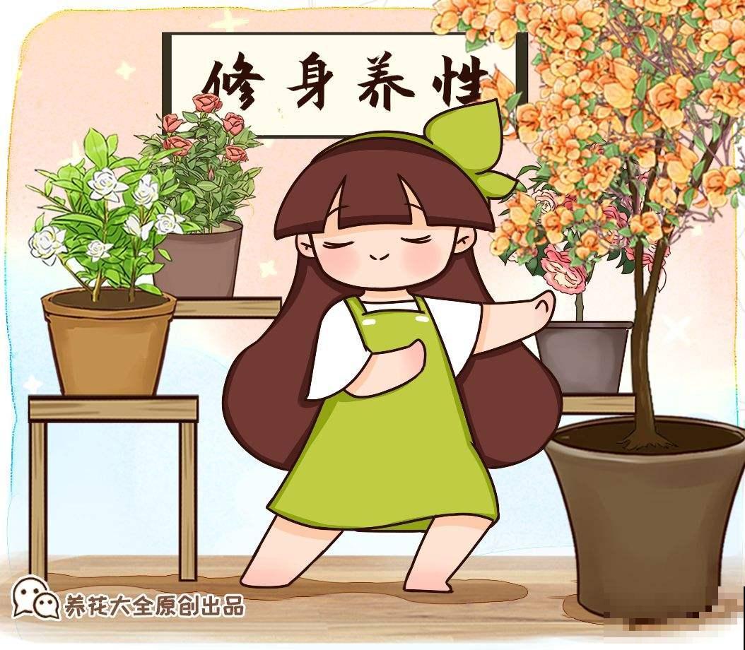 这种花开花似“仙鹤”，掌握养护要点，盆盆仙气十足！