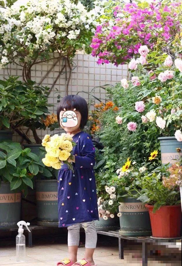 别人家的二胎妈妈，养花画画做美食，精致生活，羡慕哭！