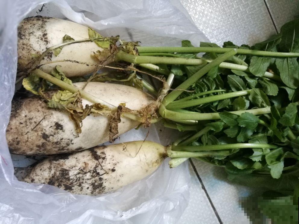 冬天买萝卜，看见这三种，再便宜也别买