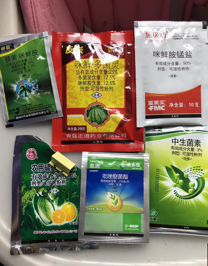 在家里养花,再穷也不能省这3样,能提高养花幸福感 在家里养花,再穷也不能省这3样,能提高养花幸福感