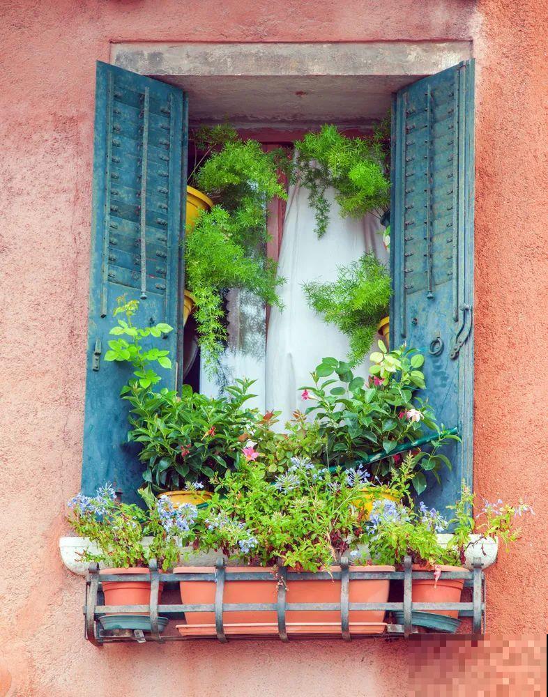 我想有一个,开满花的窗台,每天赏花! 我想有一个,开满花的窗台,每天赏花!