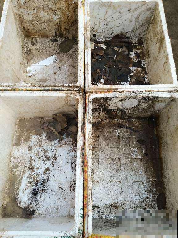 泡沫箱有大用，爱养花的人要留好它，扔掉就是扔钱！