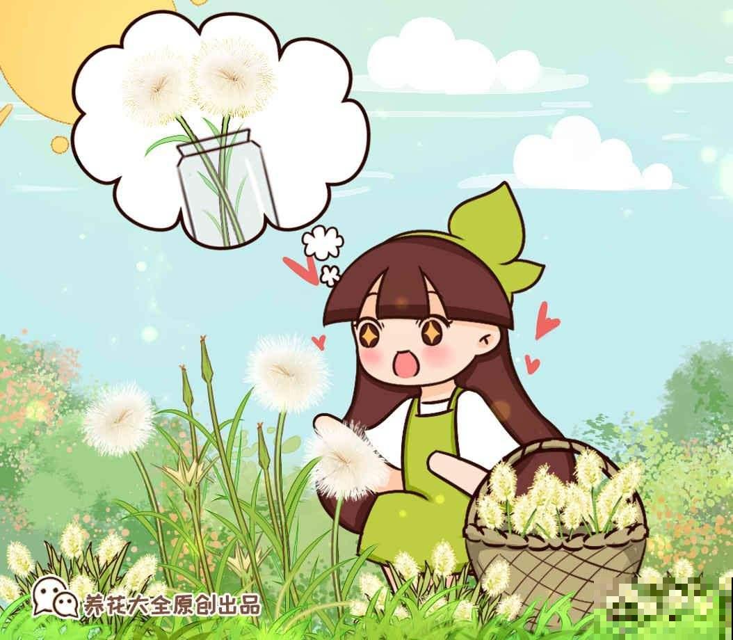 农村常见的野草，城里人当成了宝贝，花市卖得还挺贵