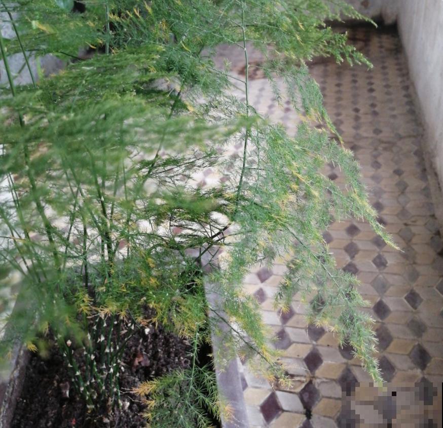 为啥孩子不爱学？房间里放一个它，效率嗖嗖上升！