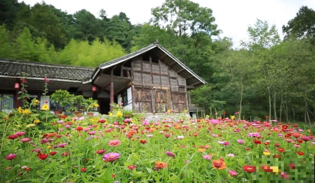 3年的时间，老院子变成大花园，过上塔莎奶奶一样的日子！