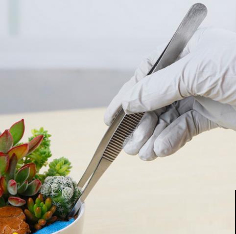 家里养多肉，这4养工具不能少，太实用了！
