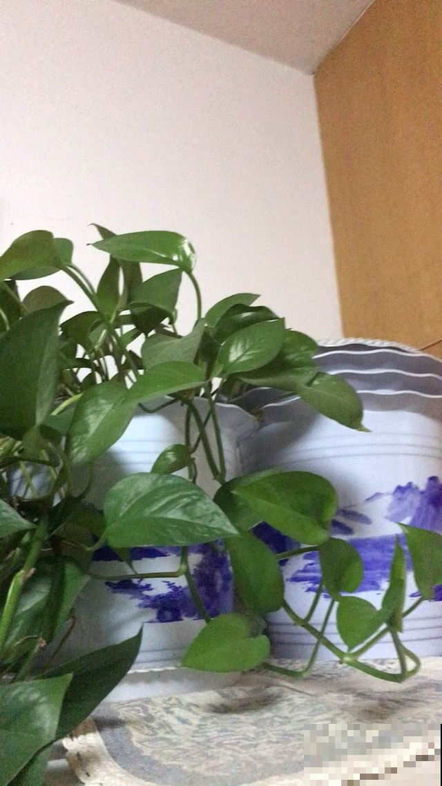 年底大扫除,5个卫生死角要打扫,干干净净过新年 年底大扫除,5个卫生死角要打扫,干干净净过新年