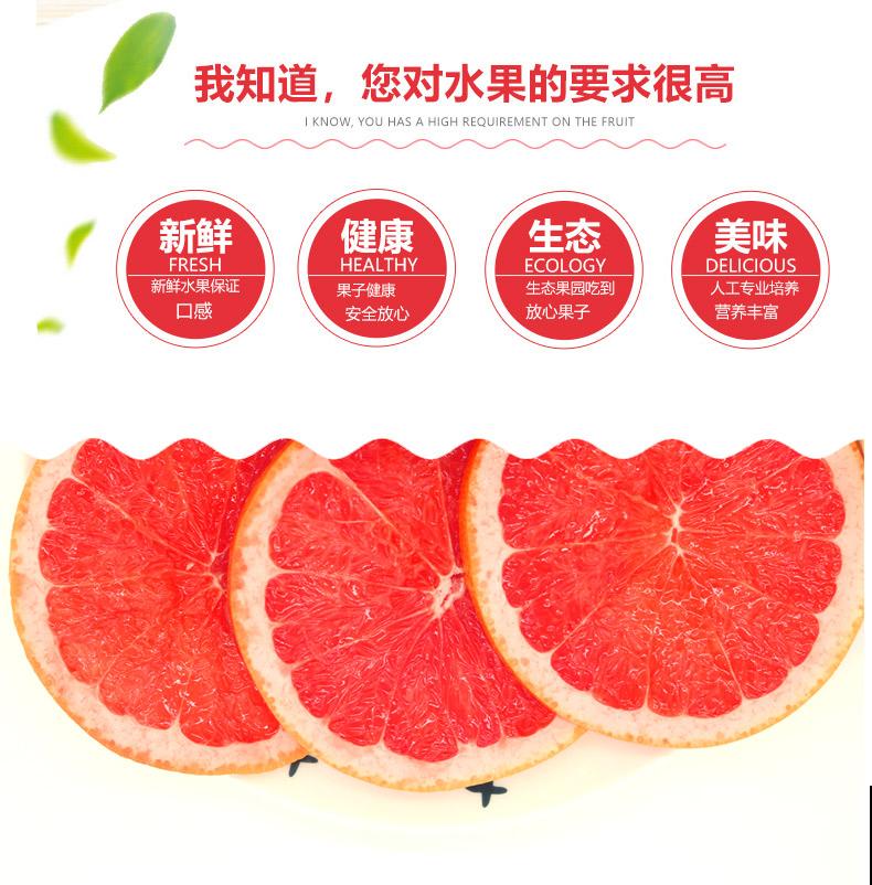 菠萝蜜原来是长在树上的，真的刷新认知！